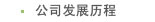 公司發(fā)展歷程